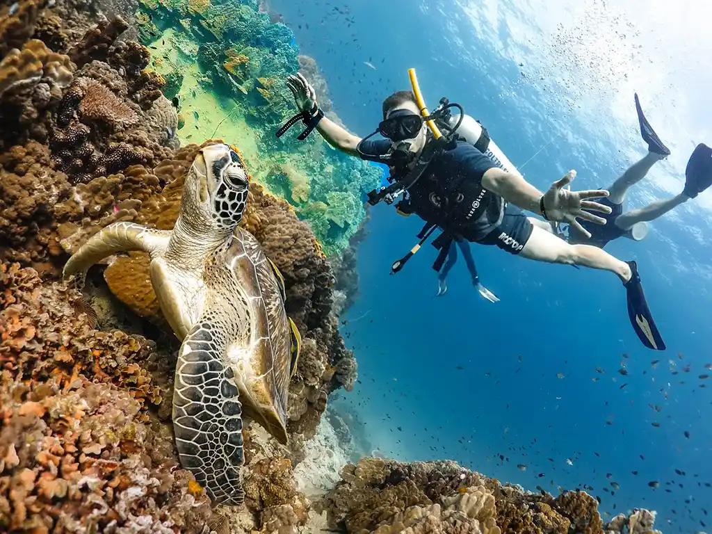 1024-roctopus-diver-koh-tao-(1)